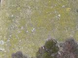 image of grave number 206479